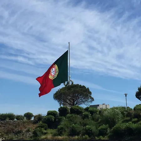 Park Avenue Vieira *